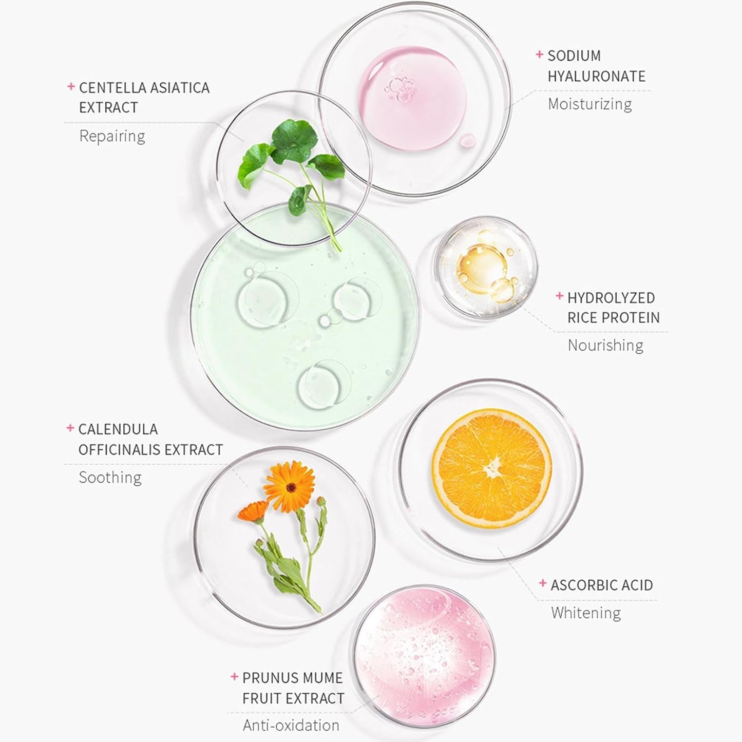 Japan Sunscreen SPF 50 Bloqueador Solar Japones Sunscreen for Face Japanese Sunscreen SPF PA+++ Rosada Sunscreen Essence Cream 50G Moisturizing Cosmetics Skin Care Products (3)
