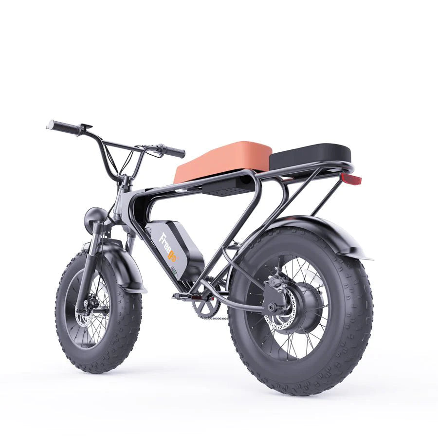 Freego DK200 Off Road Mountain Electric Bike 20'' Fat tires 1200W Powerful Motor 20Ah Lithium Battery