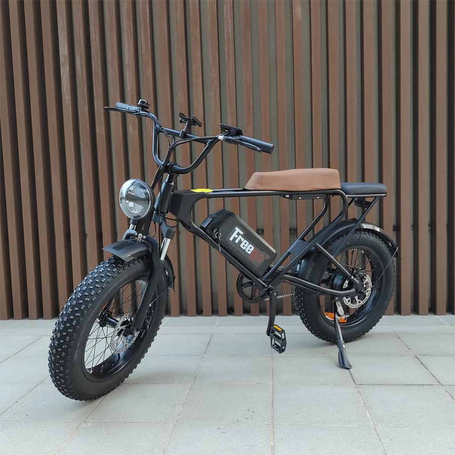 Freego DK200 Off Road Mountain Electric Bike 20'' Fat tires 1200W Powerful Motor 20Ah Lithium Battery