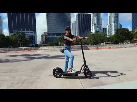 Powerful Electric Riding Scooter for City Commute 500W E10 Pro