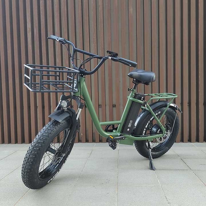 Freego City Bike FB-20X Step-thru Fat Tire Electric Bike